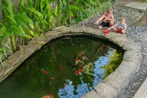 Fish Pond