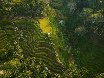 Nicest Part of Bali to Stay In? Guide for Families & First-Time Visitors