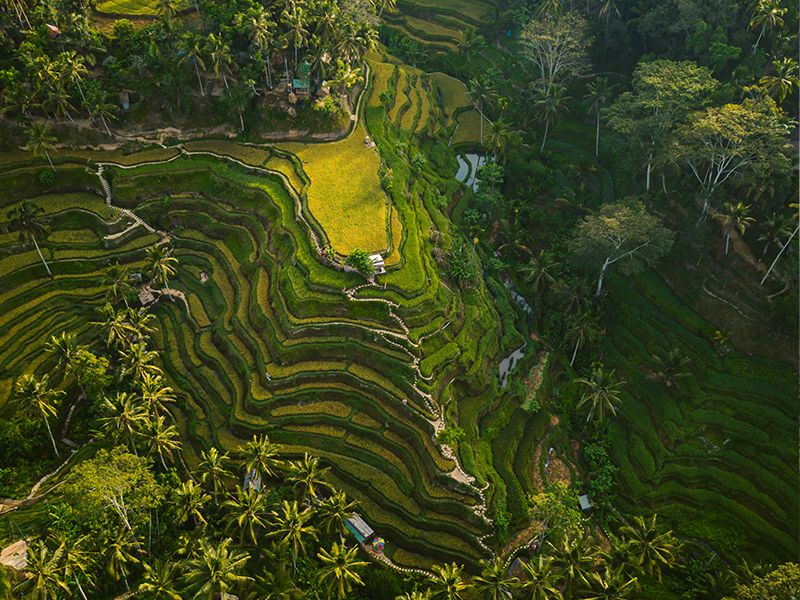 Nicest Part of Bali to Stay In? Guide for Families & First-Time Visitors