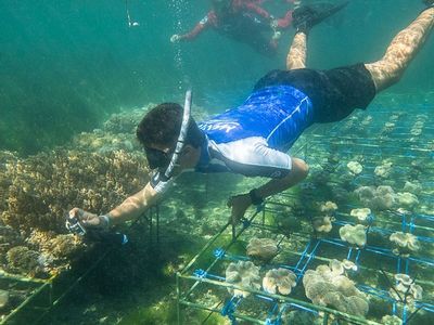 Save Marine Environment With Rip Curl Surf School