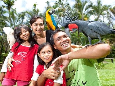 Things To Do: Bali Bird Park