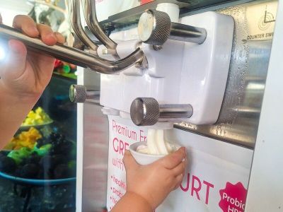Start Your Morning with Frozen Yoghurt at Breakfast