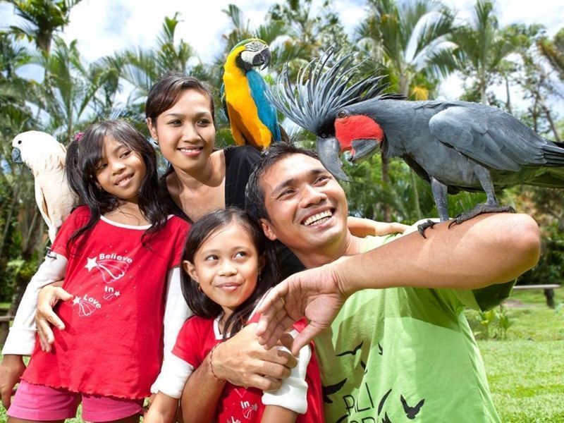 Things To Do: Bali Bird Park