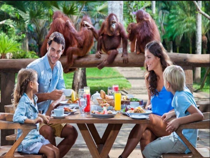 Breakfast with Orang Utan at Bali Zoo