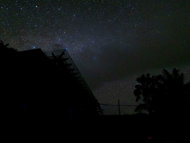 Nyepi Family Package at Prime Plaza Suites Sanur